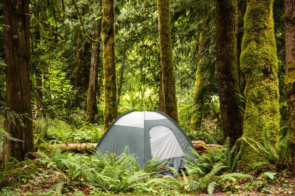Mount Hood Village Premium Yurt 4 Welches Exteriör bild