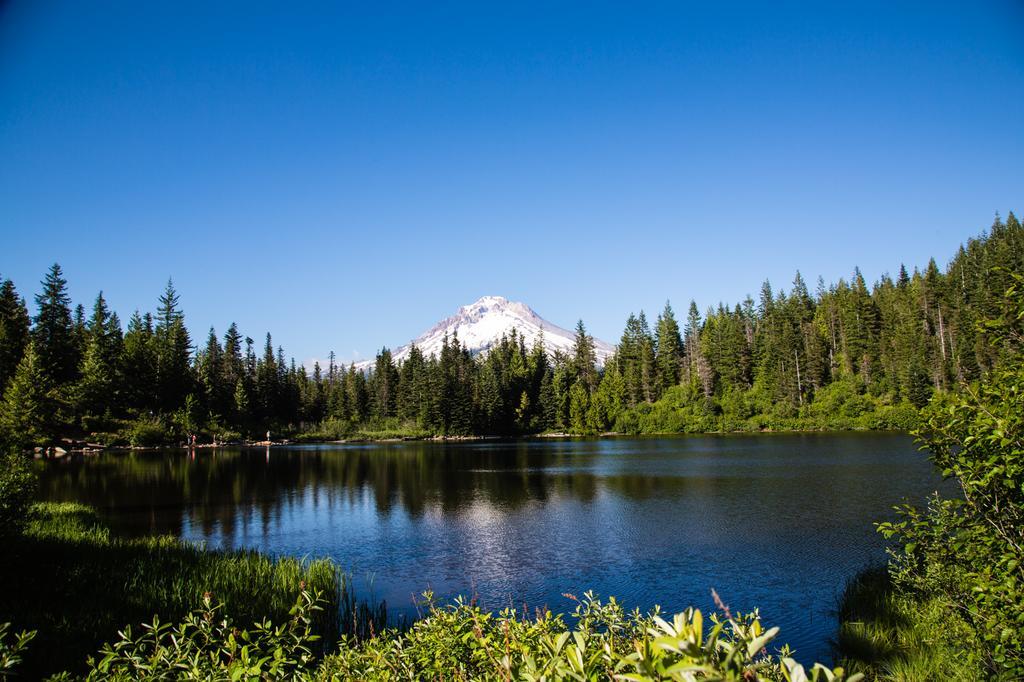 Mount Hood Village Premium Yurt 4 Welches Exteriör bild